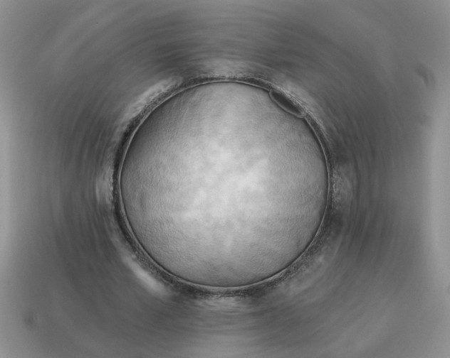 X0000114570581200911091217