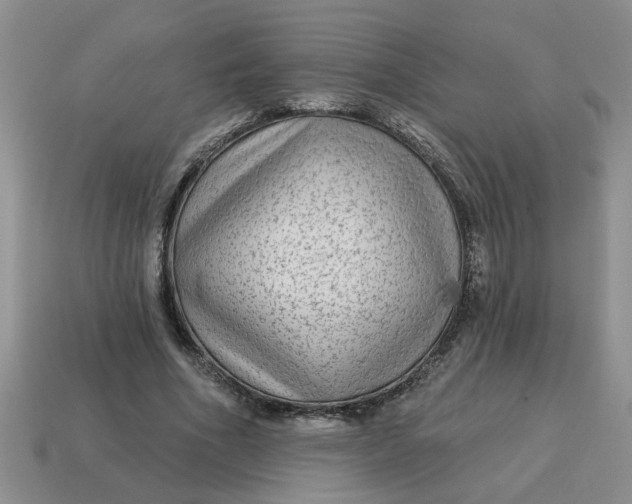 X0000114570586200911091217