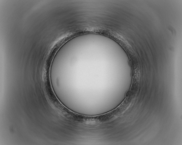 X0000114570587200911091217