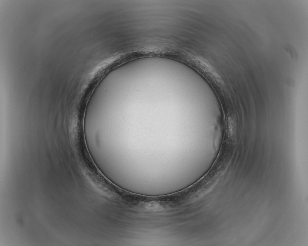 X0000114570588200911091217