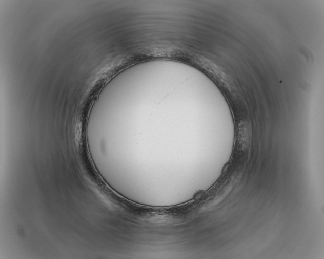 X0000114570589200911091217