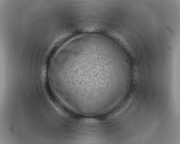 X0000114570590200911091217