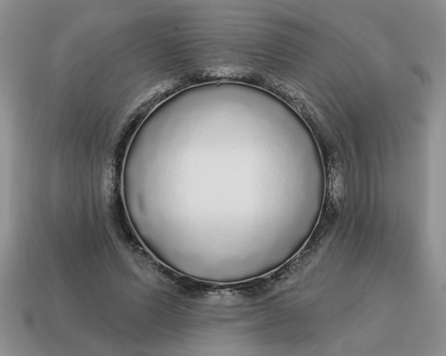 X0000114570591200911091217