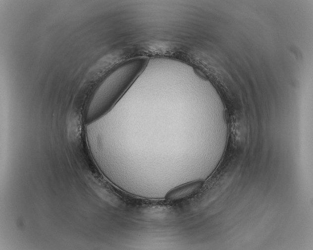 X0000114570593200911091217