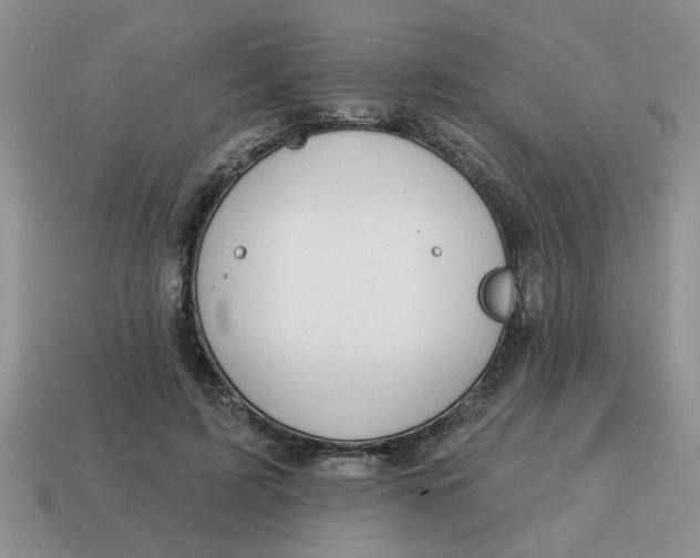 X0000114570595200911091217