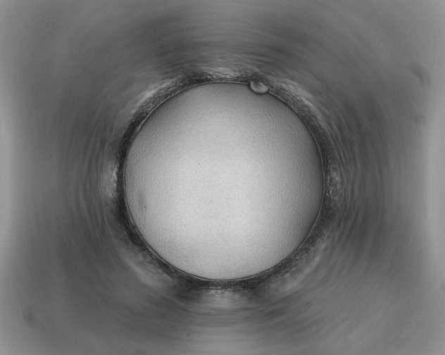 X0000114570596200911091217