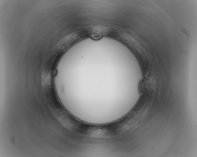 X0000114570597200911091217