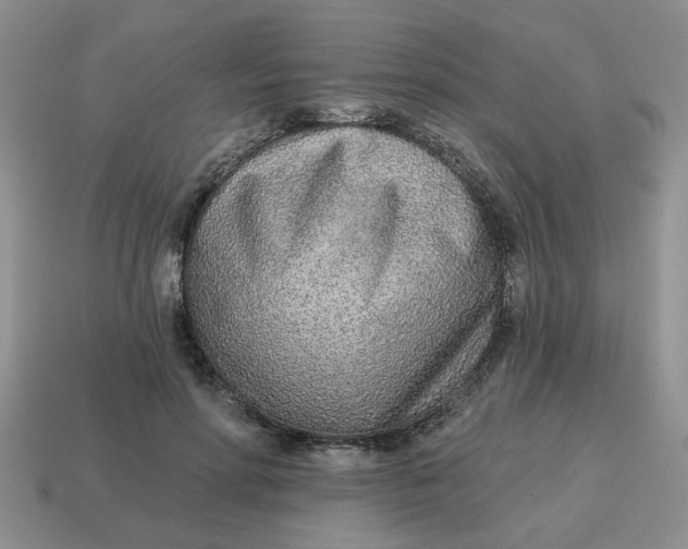 X0000114570598200911091217