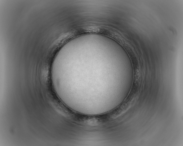 X0000114570600200911091217