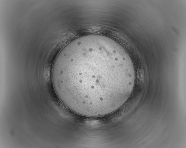 X0000114570602200911091217