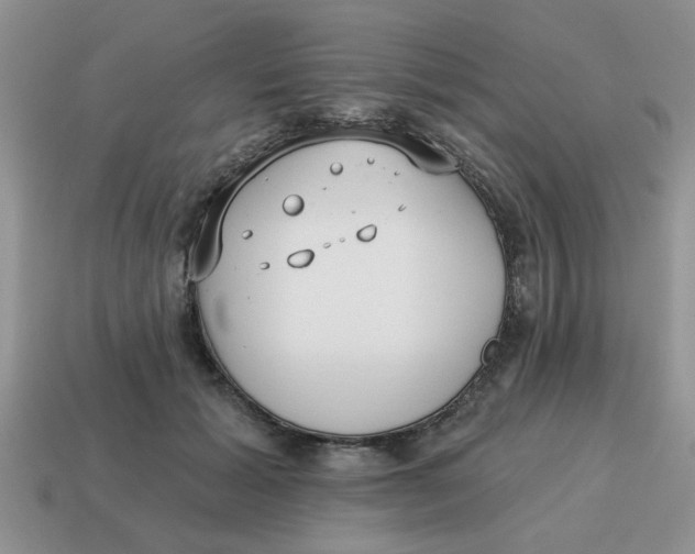 X0000114570605200911091217