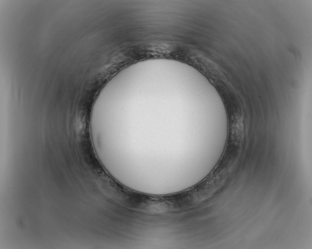 X0000114570608200911091217