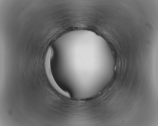 X0000114570609200911091217