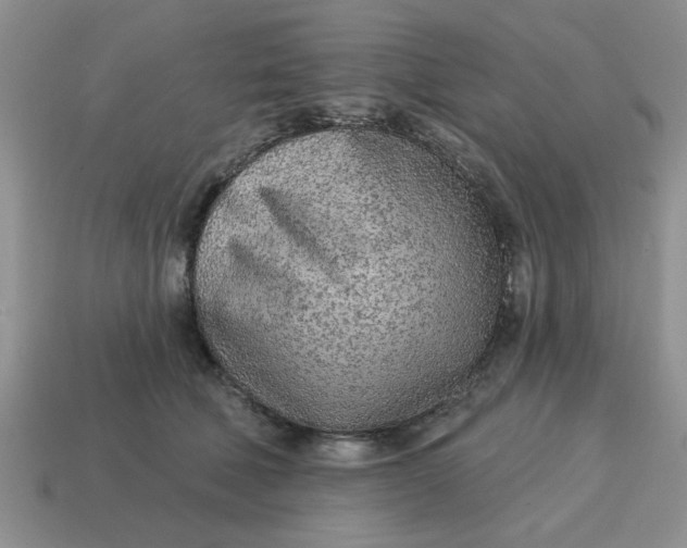 X0000114570610200911091217