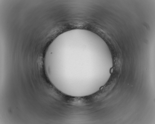 X0000114570612200911091217