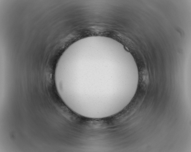 X0000114570615200911091217