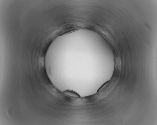 X0000114570621200911091217