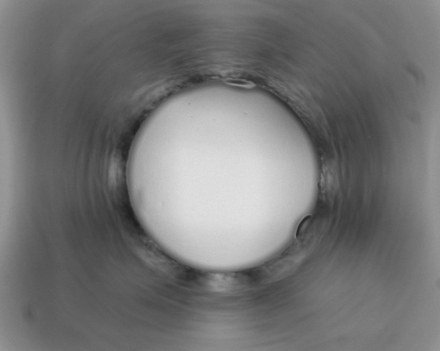 X0000114570623200911091217