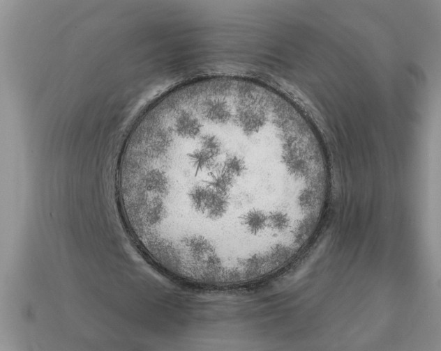 X0000114570625200911091216