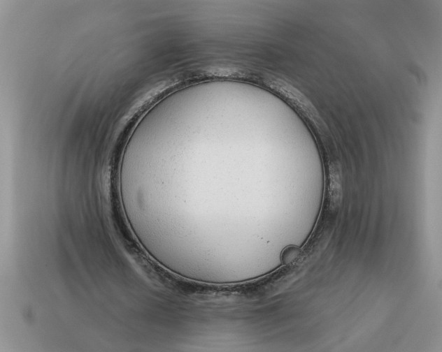 X0000114570626200911091216