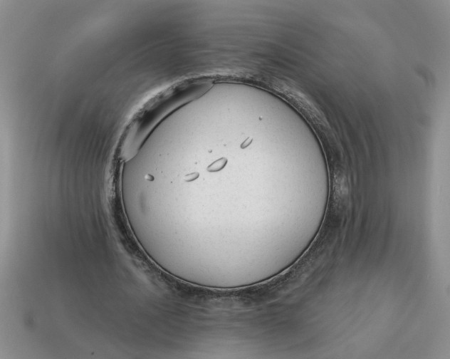 X0000114570628200911091216