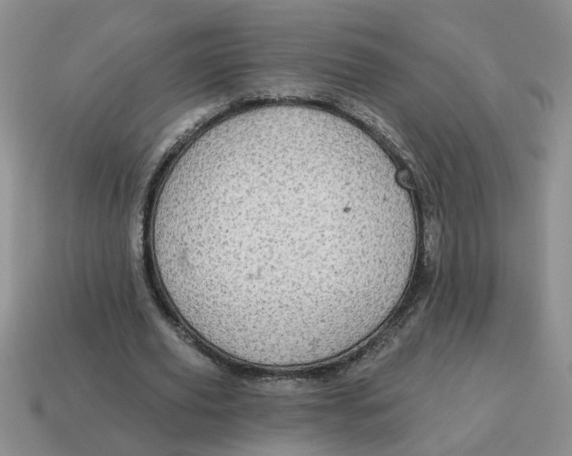 X0000114570629200911091216