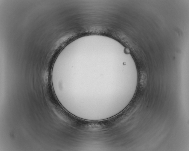 X0000114570636200911091216