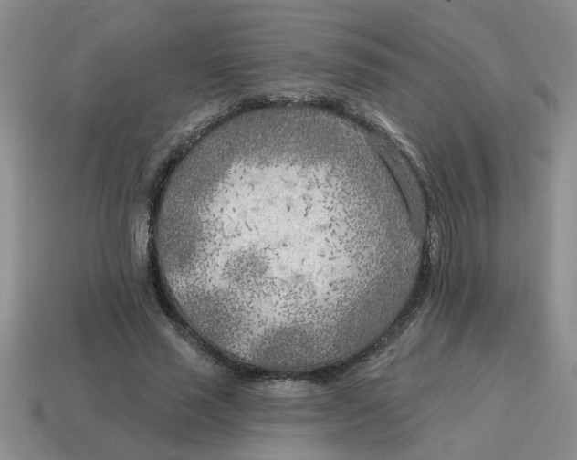 X0000114570637200911091216