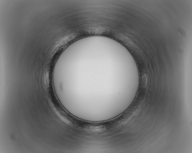 X0000114570638200911091216