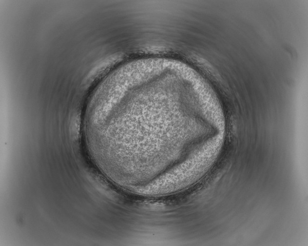 X0000114570640200911091216