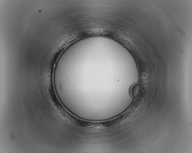 X0000114570642200911091216