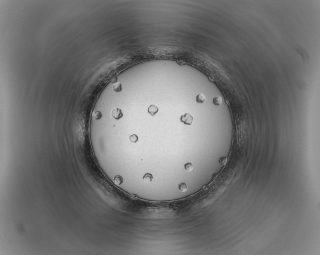 X0000114570644200911091216