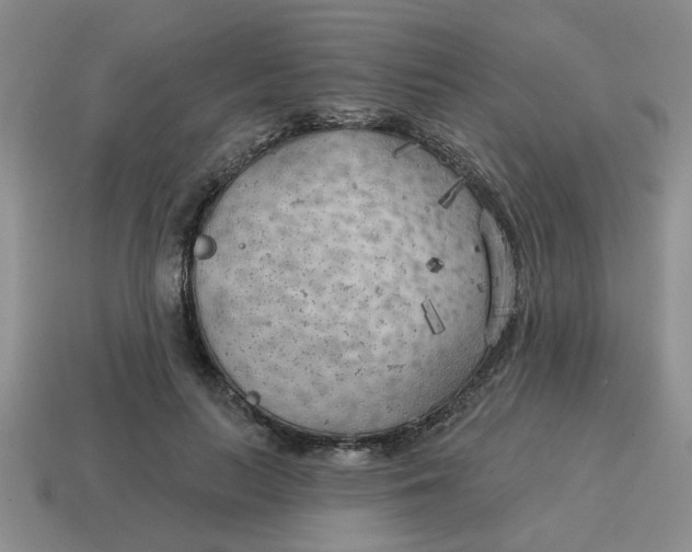 X0000114570647200911091216