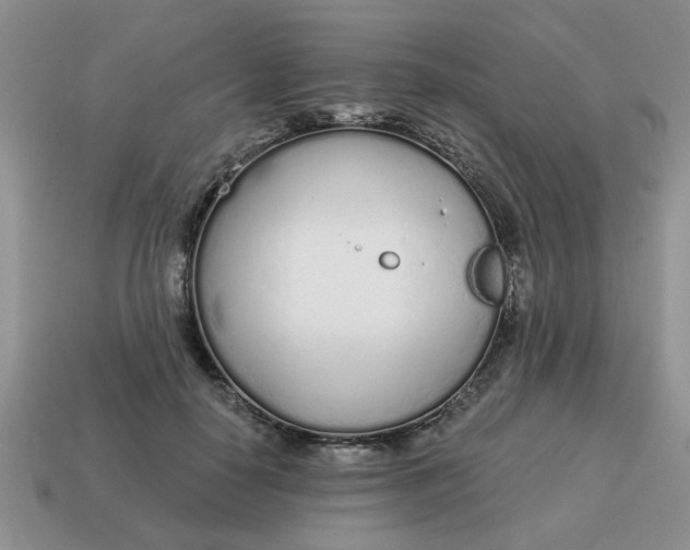 X0000114570650200911091216