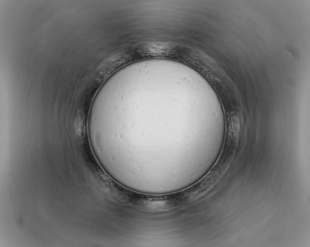 X0000114570651200911091216