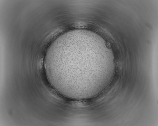 X0000114570652200911091216