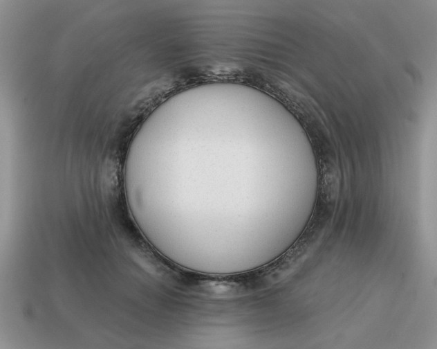 X0000114570654200911091216