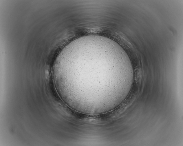 X0000114570655200911091216