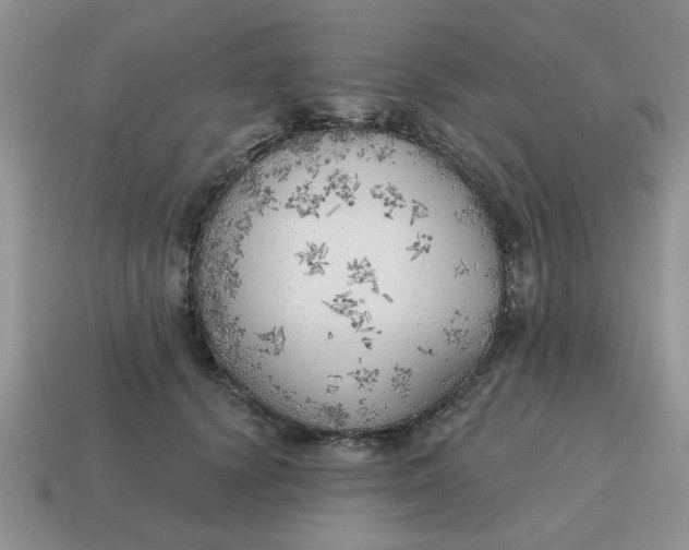 X0000114570656200911091216