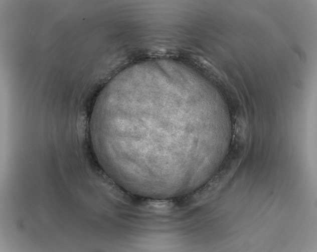 X0000114570659200911091216