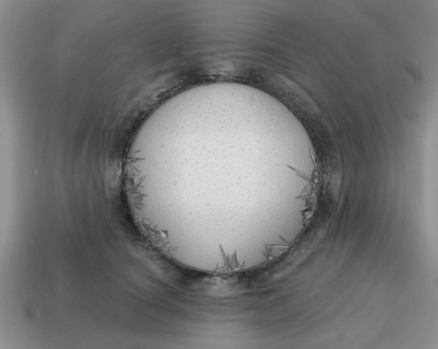 X0000114570660200911091216