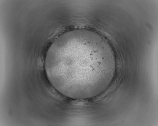 X0000114570661200911091216