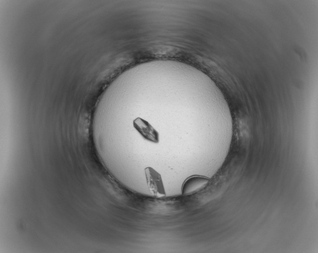 X0000114570664200911091217