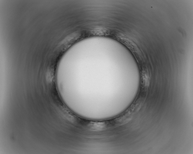 X0000114570665200911091217