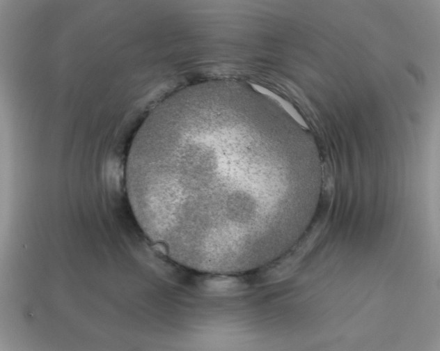 X0000114570669200911091217