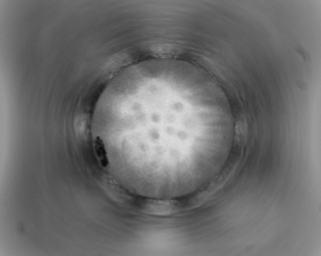 X0000114570671200911091217