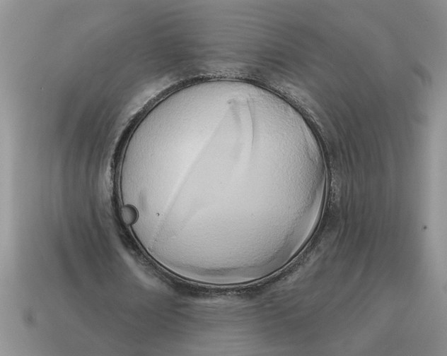 X0000114570674200911091216