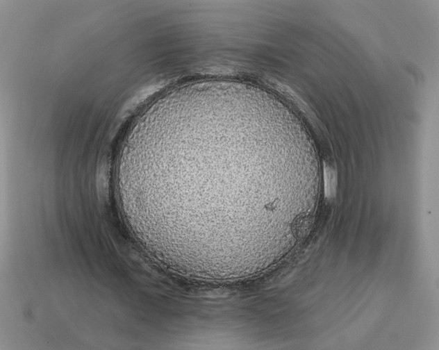 X0000114570675200911091216