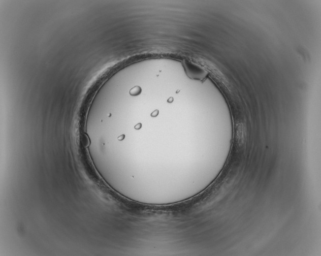 X0000114570676200911091216