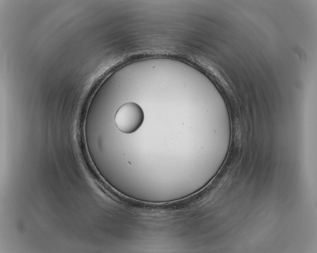 X0000114570677200911091216